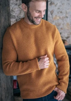 Montlimart PULL ORIGINE Moutarde Cheap