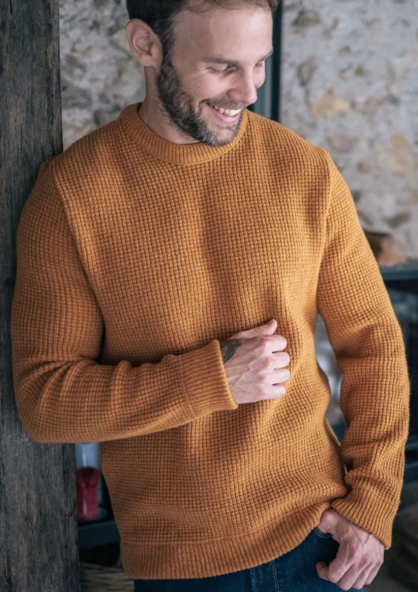 Montlimart PULL ORIGINE Moutarde Cheap